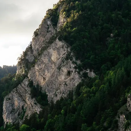 Διαμέρισμα Nimbuzzz *