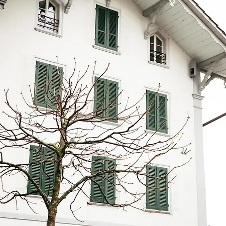 Διαμέρισμα Nimbuzzz Unterseen