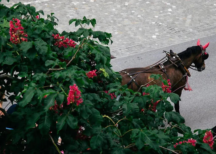 Apartment Nimbuzzz *