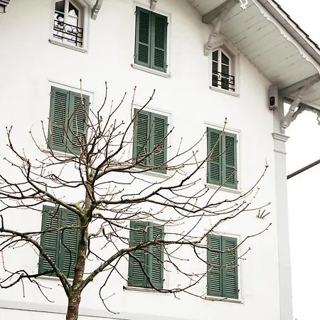 Apartmán Nimbuzzz Unterseen