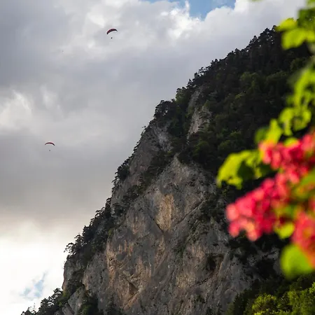 Апартаменты Nimbuzzz