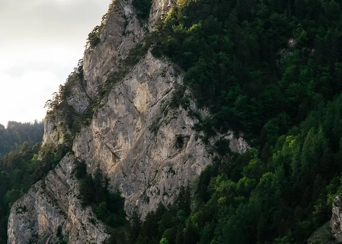 Apartment Nimbuzzz *